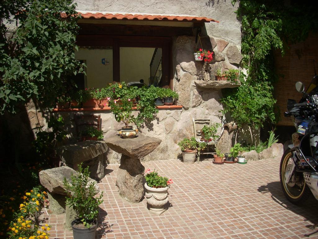 Sa Rosa E Su Trapperi Bed and Breakfast Oschiri Exteriör bild