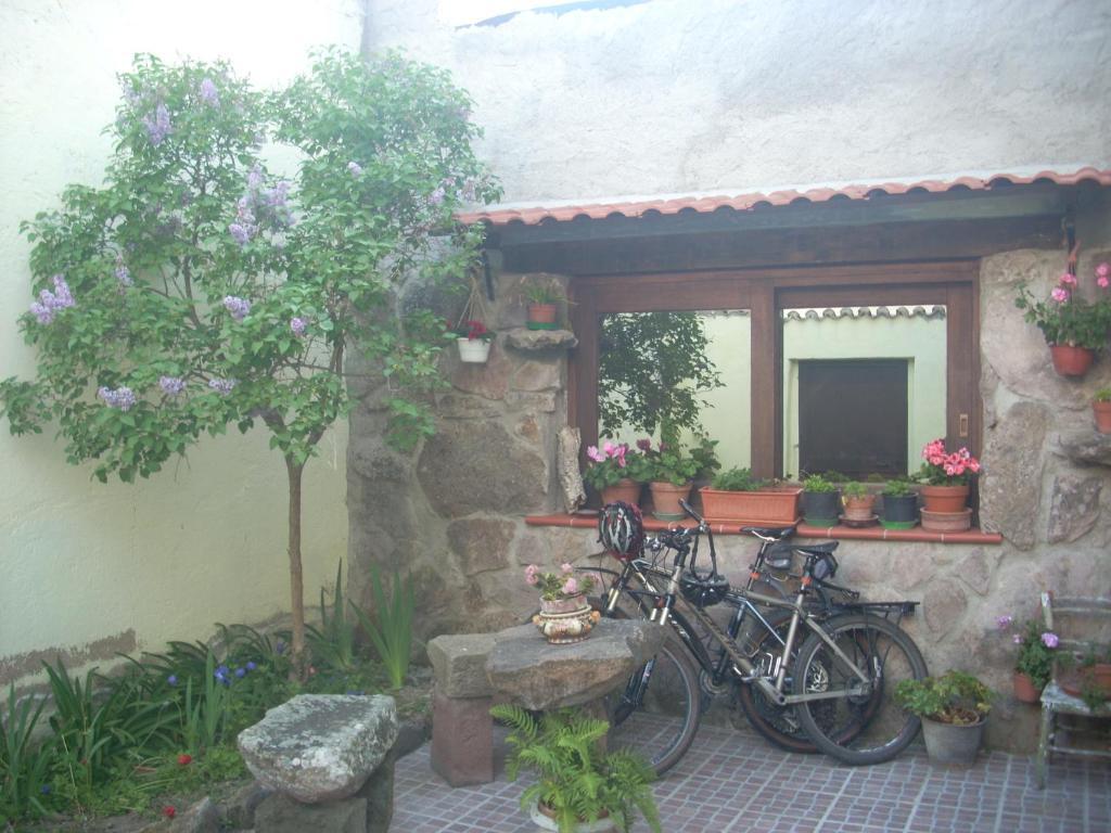 Sa Rosa E Su Trapperi Bed and Breakfast Oschiri Exteriör bild