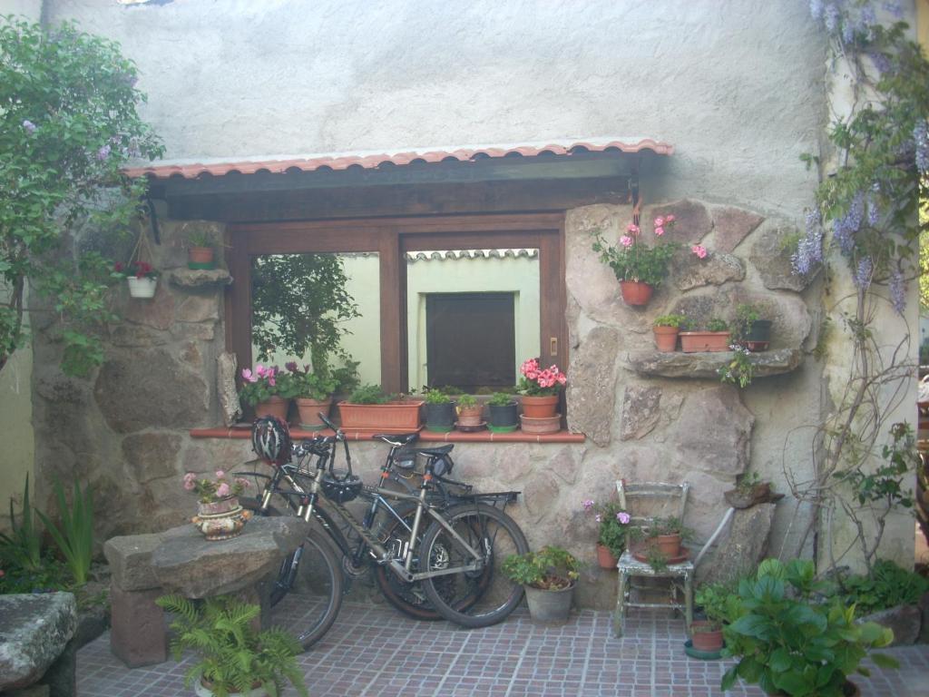 Sa Rosa E Su Trapperi Bed and Breakfast Oschiri Exteriör bild